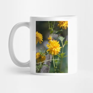 Yellow and Green Mug